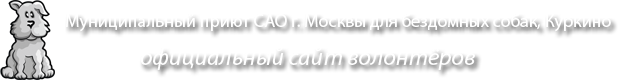 Главная